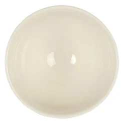 Bol lapins collectionneur en faïence multicolore 75cl - Collection