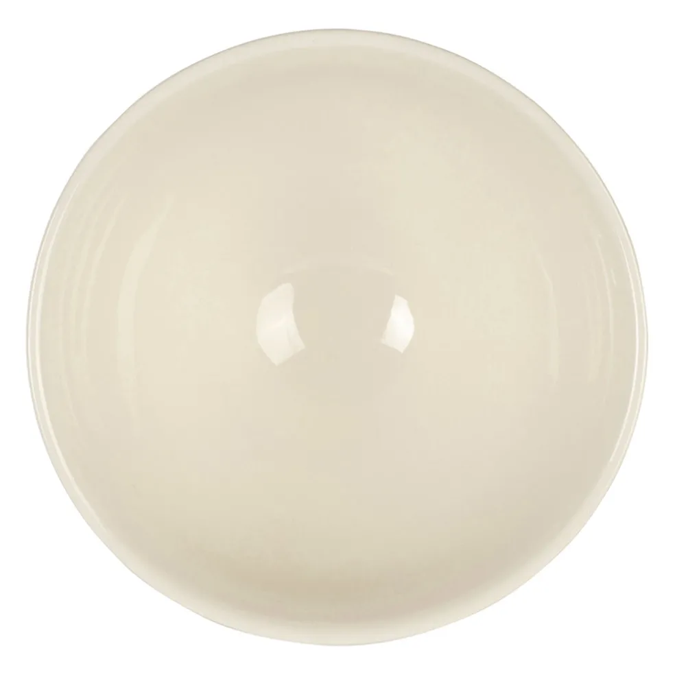 Bol lapins collectionneur en faïence multicolore 75cl - Collection