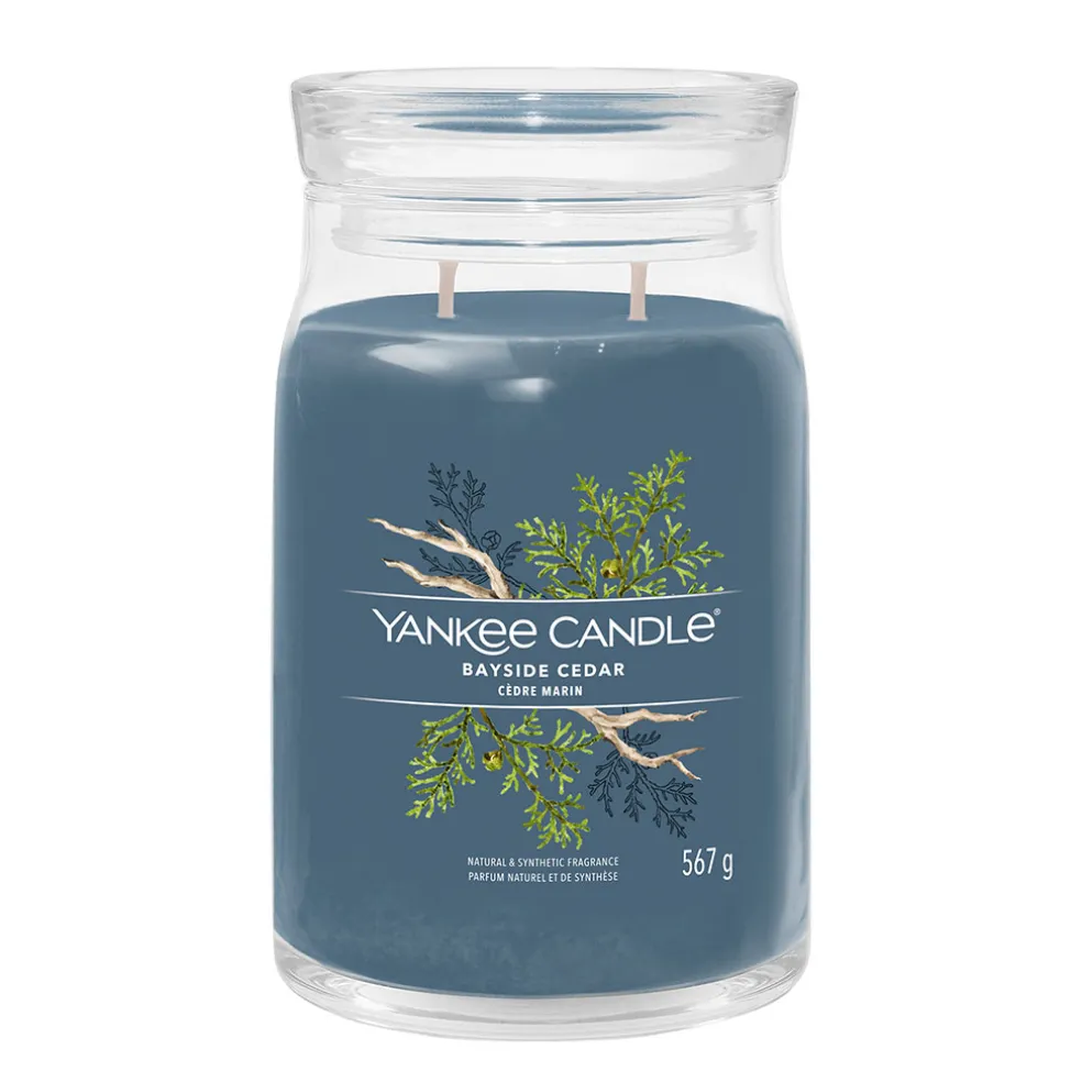 Bougie jarre parfumée Cedre marin 100h