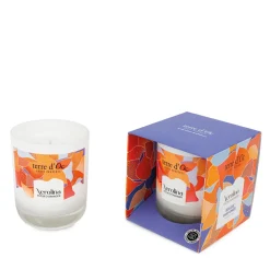 Bougie parfumée Fleur d'oranger - Nerolina