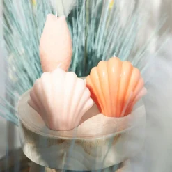 Bougie Saint-Jacques corail 10h - Bord De Mer