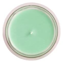 Bougie sous le figuier vert 220g