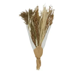 Bouquet fleurs séchées limonium brun h50cm plantes séchées