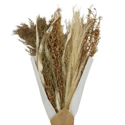 Bouquet fleurs séchées limonium brun h50cm plantes séchées