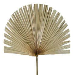 Branchage palmier naturel 50xh96cm feuille de palmier