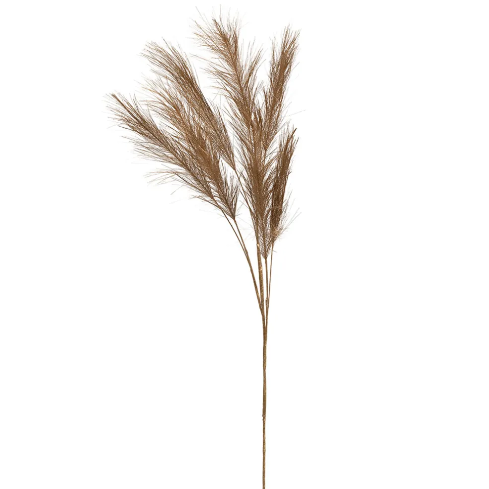 Branchage pampa doré h75cm - Pampa