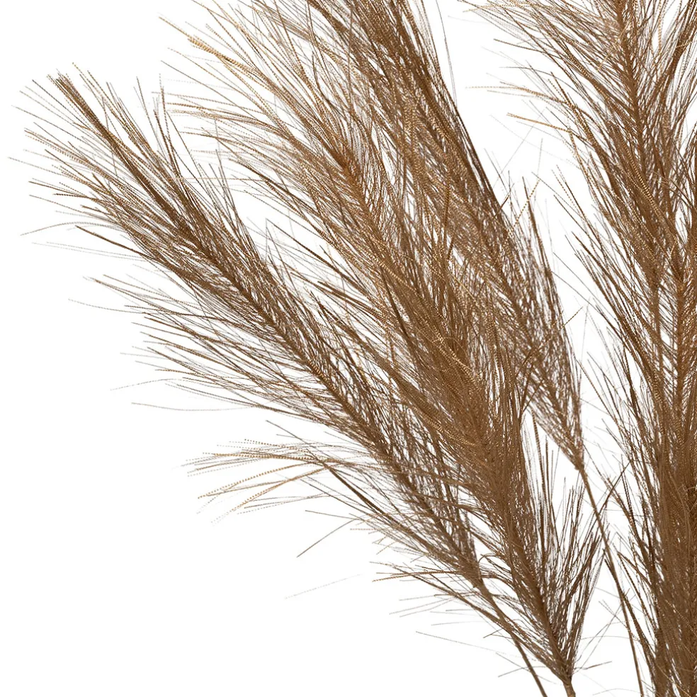 Branchage pampa doré h75cm - Pampa
