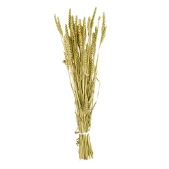 Branche triticum doré h70cm