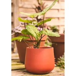 Cache pot en céramique terracotta d13.5cm