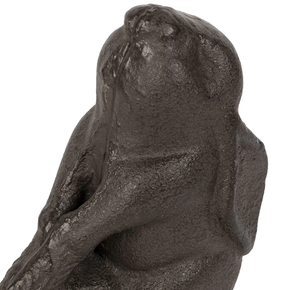 Cale porte lapin en fonte brun