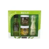 Coffret autour du basilic