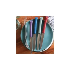 Coffret de 4 couteaux de table multicolor - Opinel