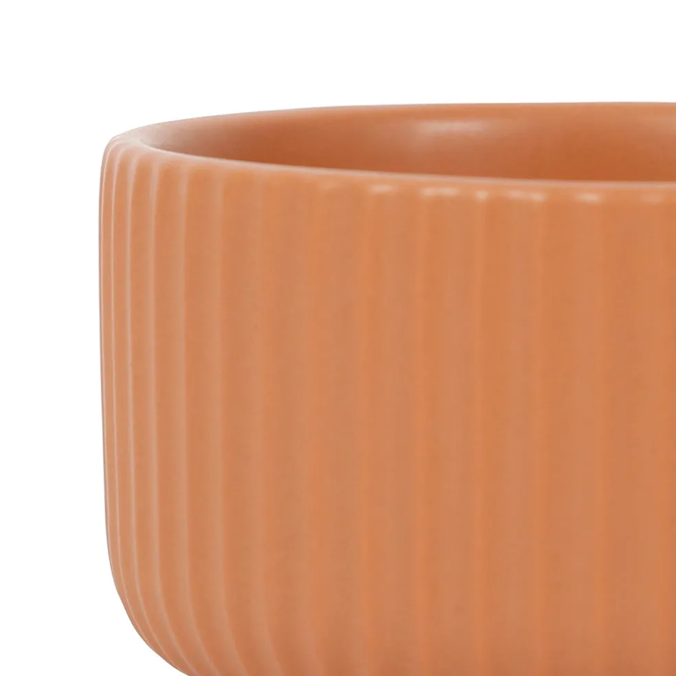 Coupelles x3 terracotta et plateau bois hervea - sweet leaves