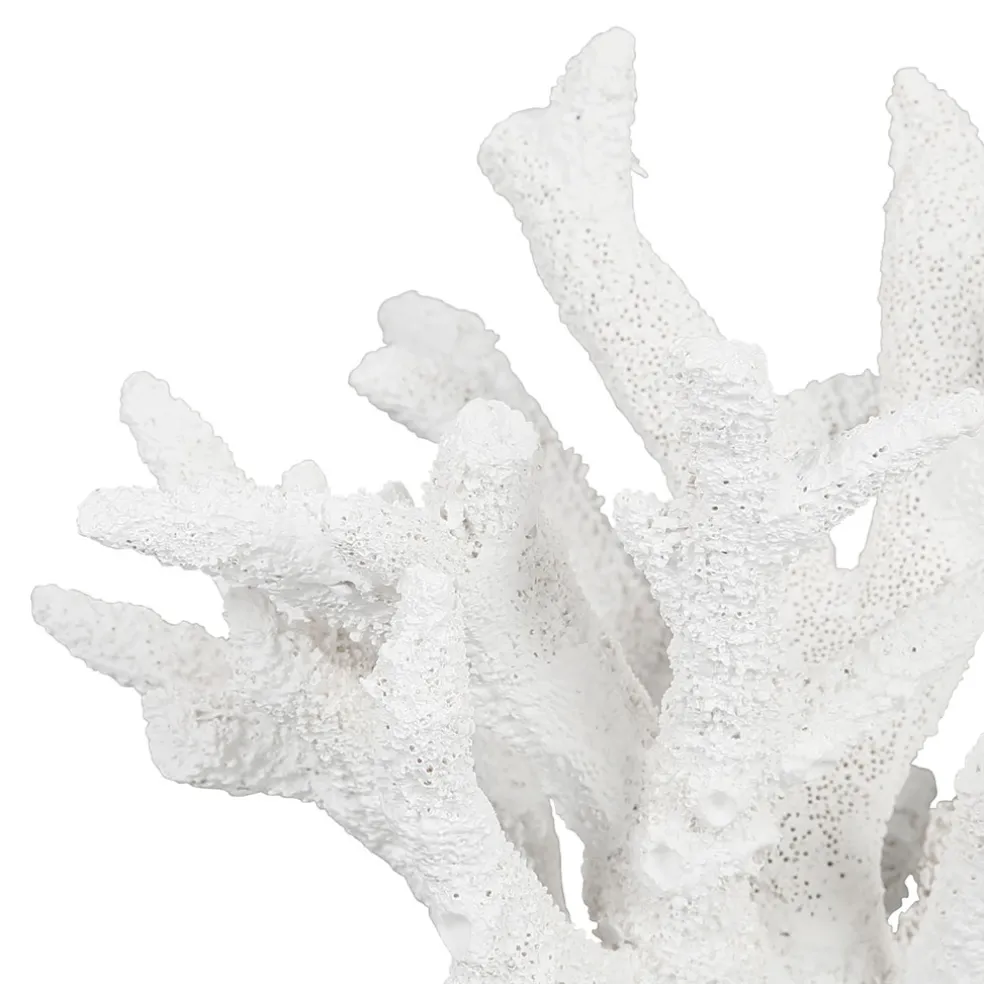 Déco corail en relief blanc - bordemer