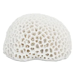 Déco corail rond blanc - bordemer