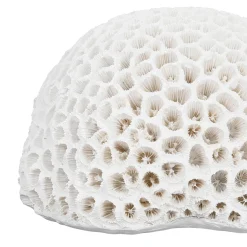 Déco corail rond blanc - bordemer