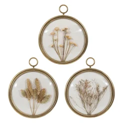 Déco murale médaillon en fer (x3) fleurs séchées