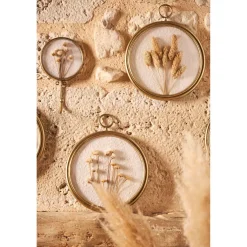 Déco murale médaillon en fer (x3) fleurs séchées