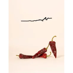 Décoration murale ligne biarritz 50cm noir