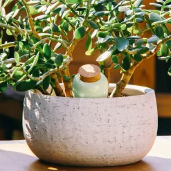 Diffuseur d'eau en argile vert 25cl - Olla