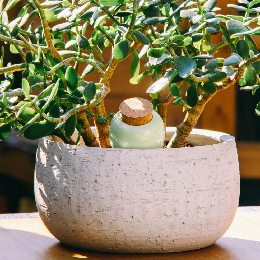 Diffuseur d'eau en argile vert 25cl - Olla