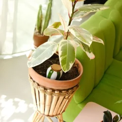 Diffuseur d'eau en argile raye vert et blanc 25cl - Olla