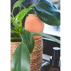 Diffuseur d'eau en argile terracotta 25cl - Olla