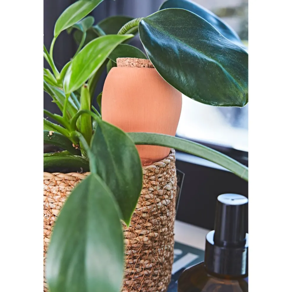 Diffuseur d'eau en argile terracotta 25cl - Olla