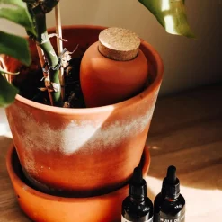 Diffuseur d'eau en argile terracotta 25cl - Olla