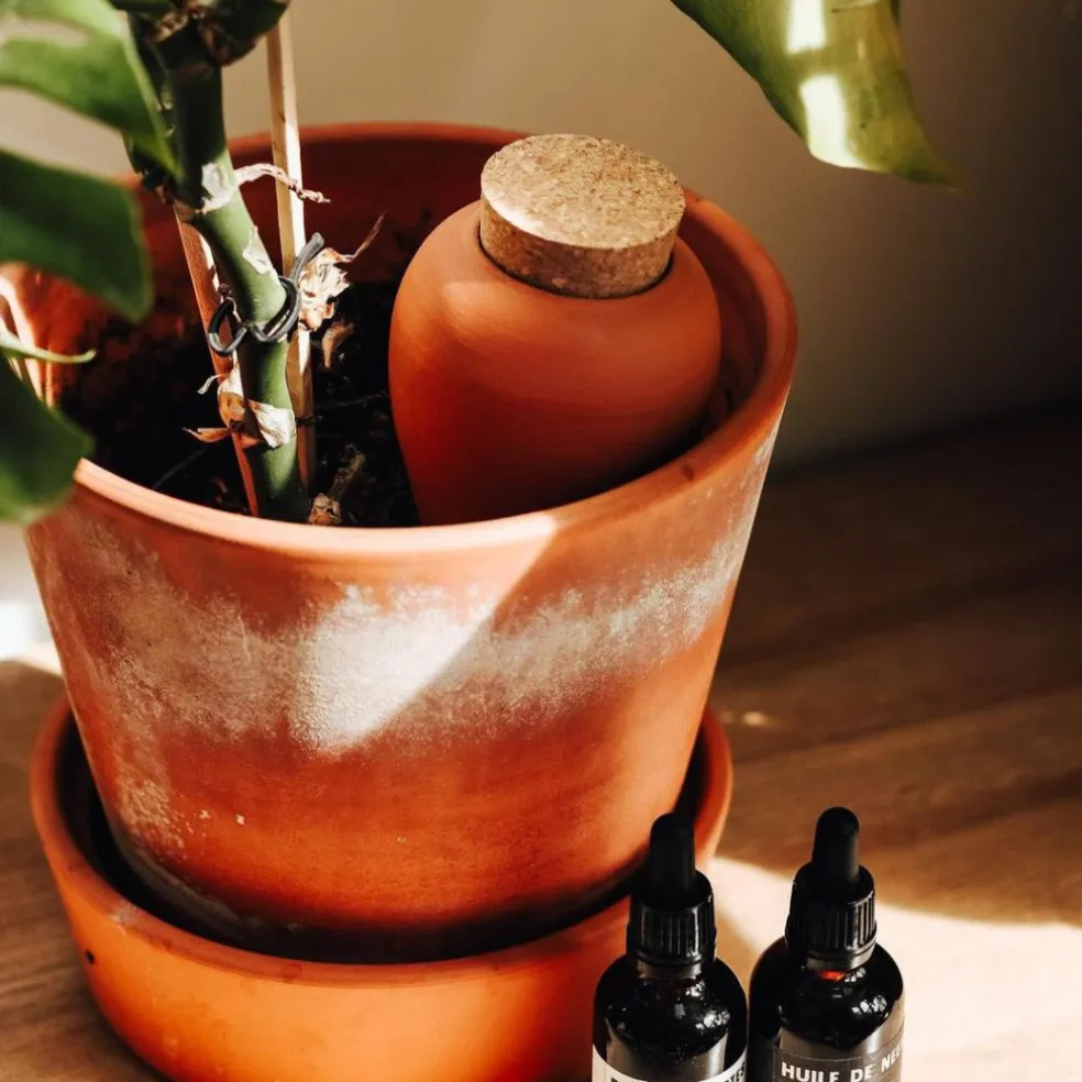 Diffuseur d'eau en argile terracotta 25cl - Olla