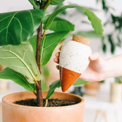 Diffuseur d'eau en argile blanc graine 25cl - Olla