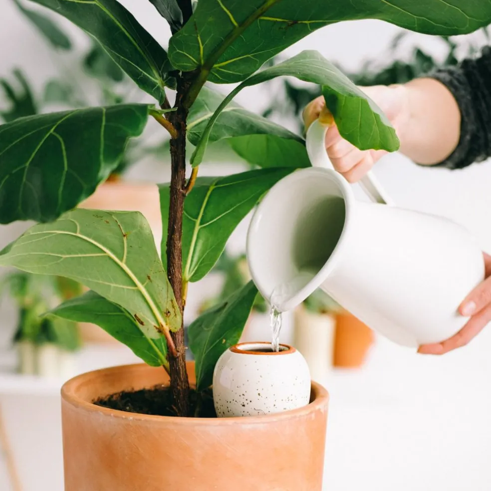 Diffuseur d'eau en argile blanc graine 25cl - Olla