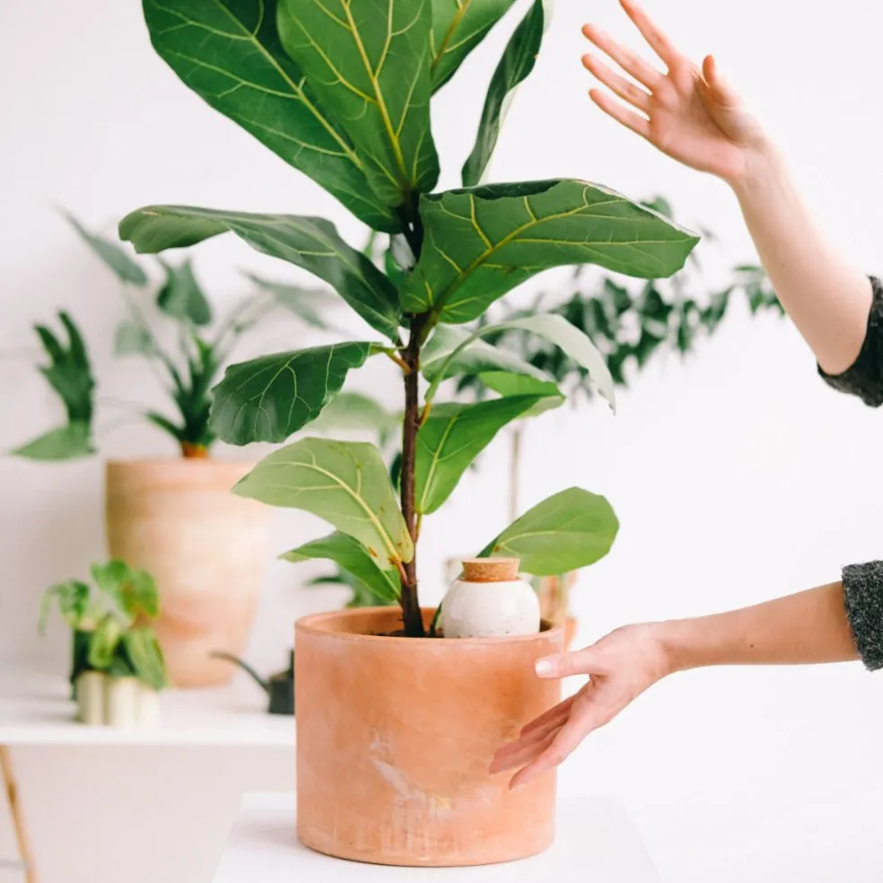 Diffuseur d'eau en argile blanc graine 25cl - Olla