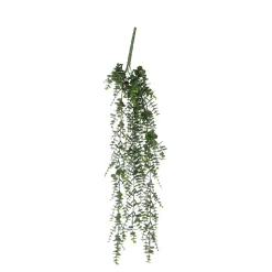 Eucalyptus suspendre vert - l93cm