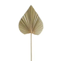 Feuille de palmier naturel h62cm - Golden