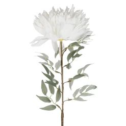 Fleur artificielle blanche h95cm - Viva