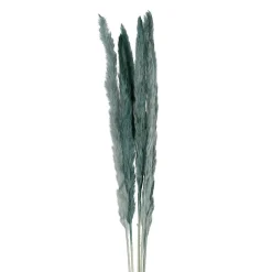 Fleur pampas x6 emeraude h75cm vegetal
