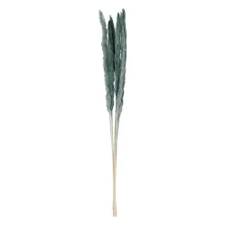 Fleur pampas x6 emeraude h75cm vegetal