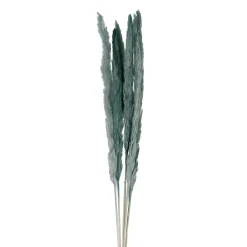 Fleur pampas x6 emeraude h75cm vegetal
