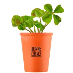 Kit message bonne chance - trèfle à 4 feuilles