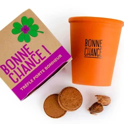 Kit message bonne chance - trèfle à 4 feuilles