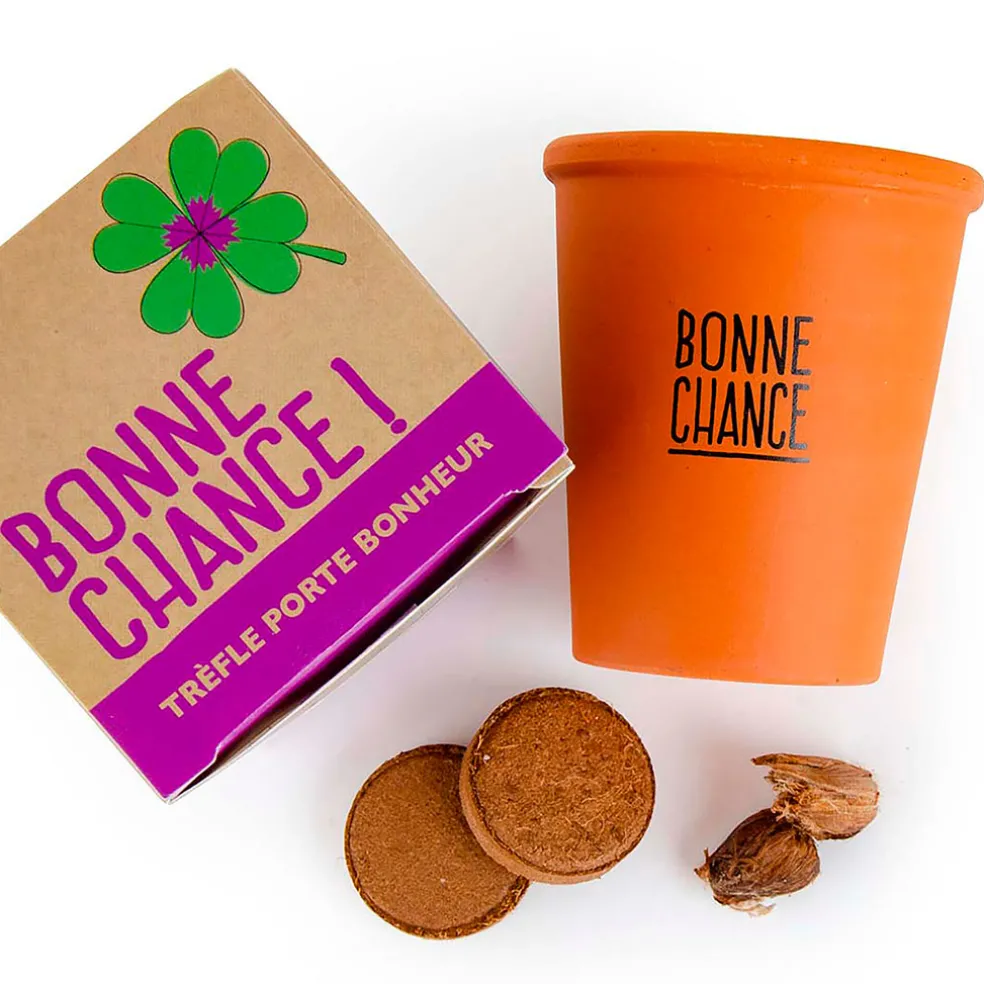 Kit message bonne chance - trèfle à 4 feuilles