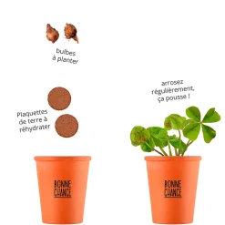 Kit message bonne chance - trèfle à 4 feuilles