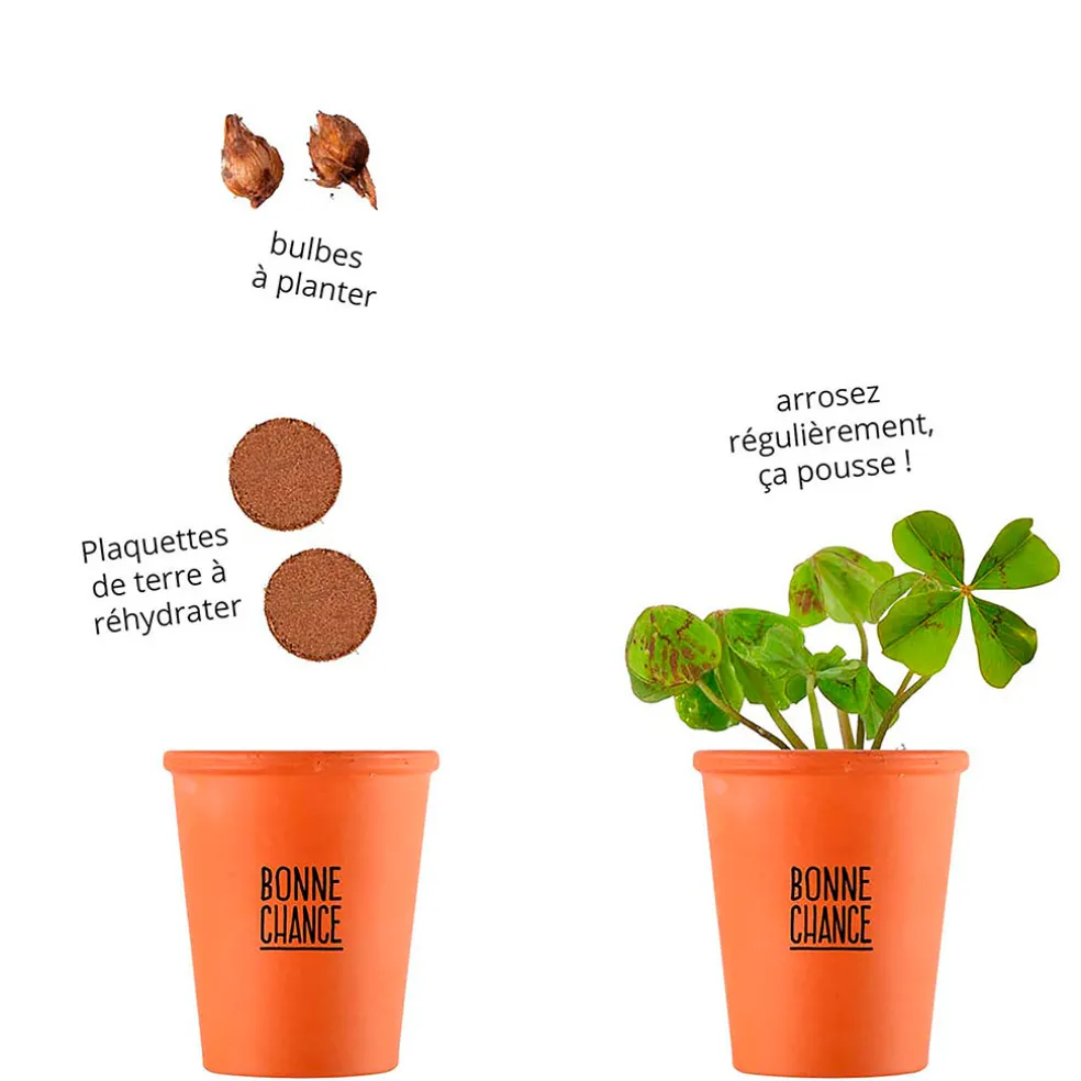 Kit message bonne chance - trèfle à 4 feuilles