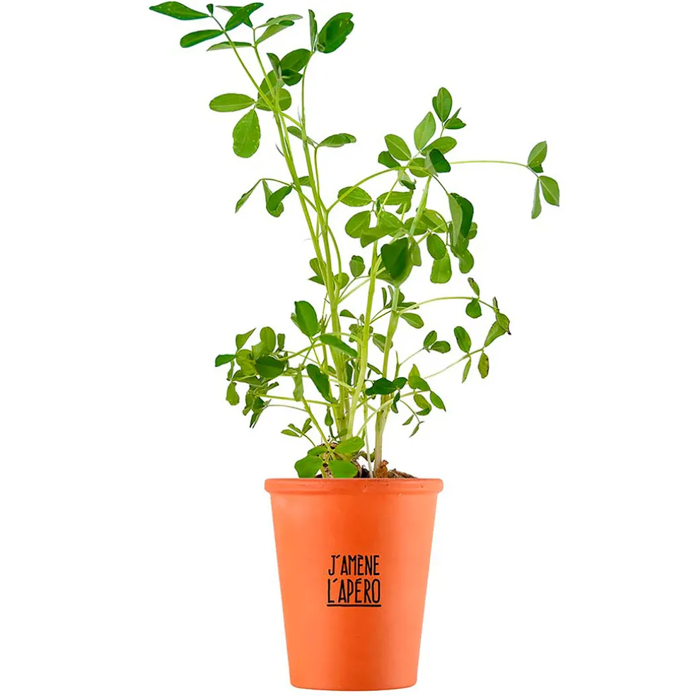 Kit message j'amène l'apéro - cacahuètes