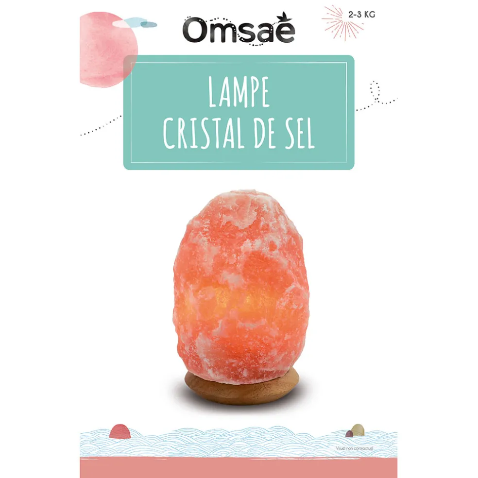 Lampe en cristal de sel pièce de 2 à 3 kg