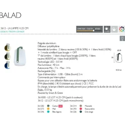 Lampe nomade cactus h25cm - Balad