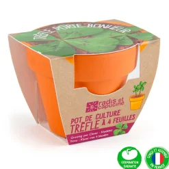 Mini kit d6cm terre cuite trèfle 4 feuilles