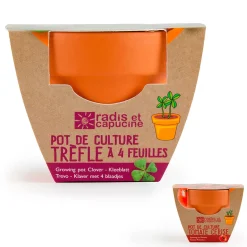 Mini kit d6cm terre cuite trèfle 4 feuilles