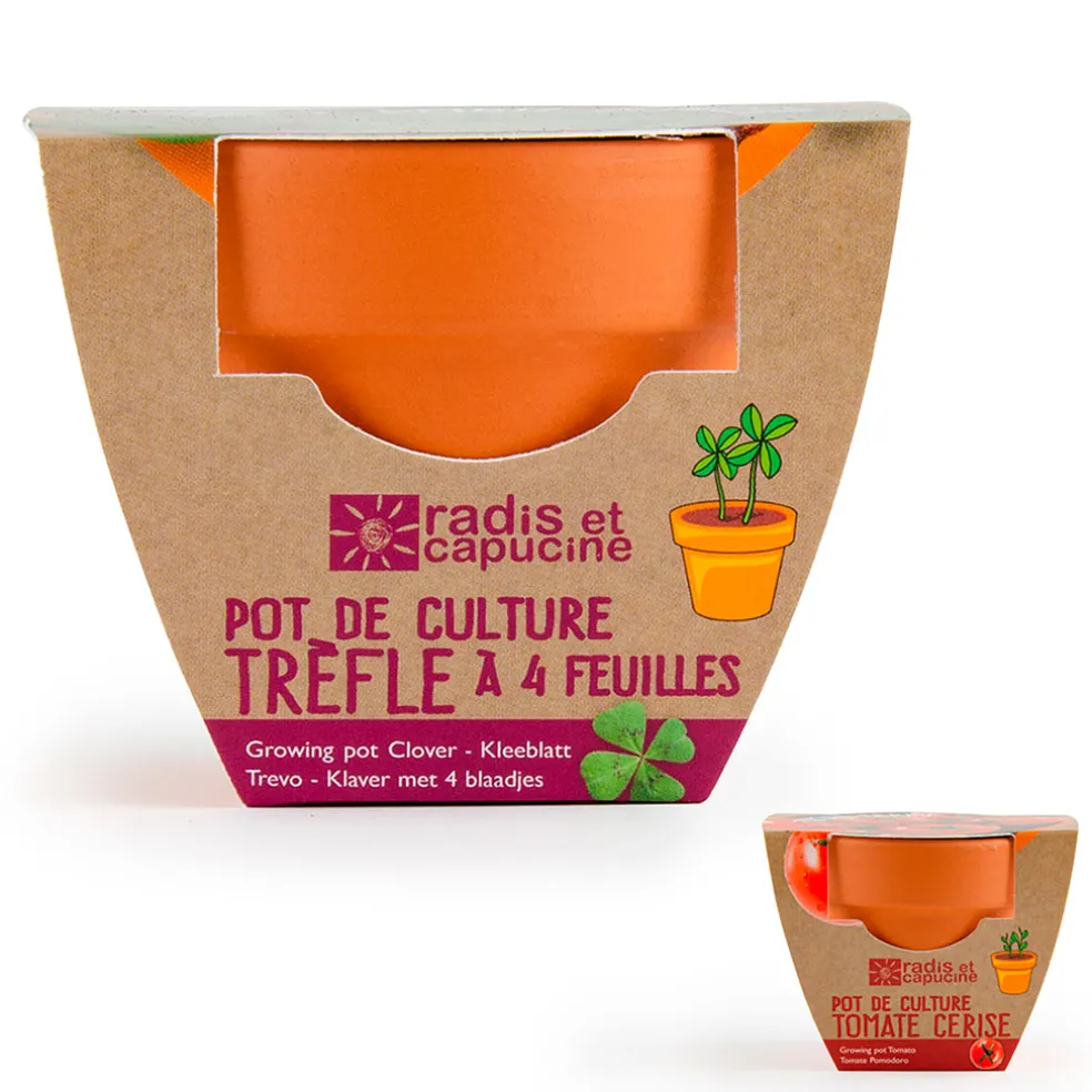 Mini kit d6cm terre cuite trèfle 4 feuilles